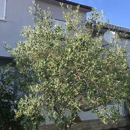 Villetta Sul Mare Appartement *